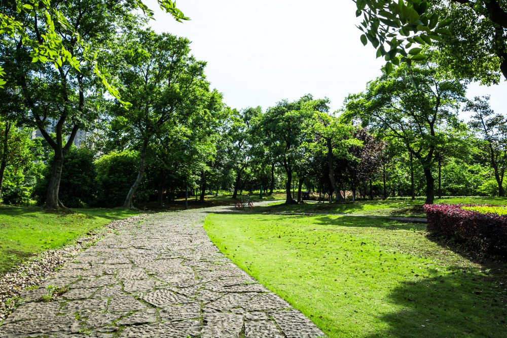 cobblestone walkway in garden